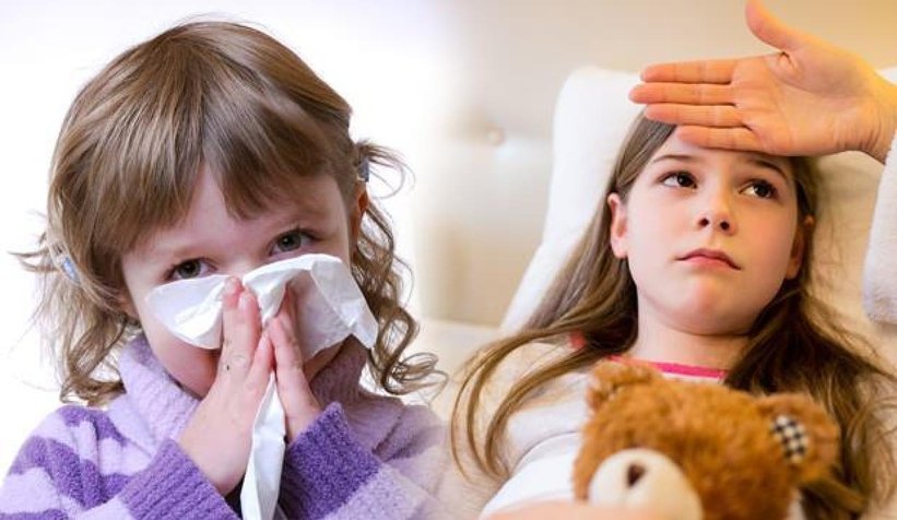 Uzmanından sert uyarı: Domuz gribinde ilk 72 saat çok kritik