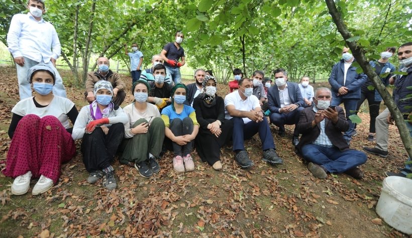 Vali Kaldırım Kocaali'de işçilerle birlikte fındık topladı