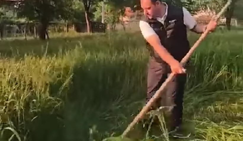 vali-kaldirim-tirpanla-ot-bictiuey4sy81dv