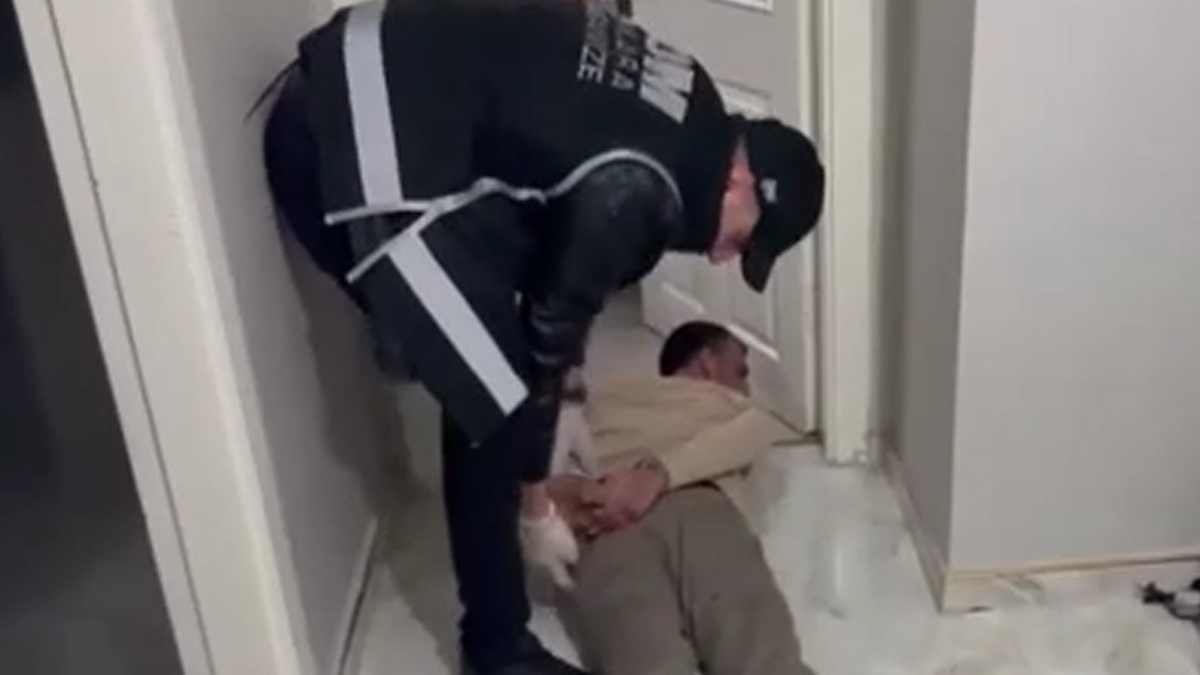 Veremli hayvanın etini yedireceklermiş; Görüntüler şok edici