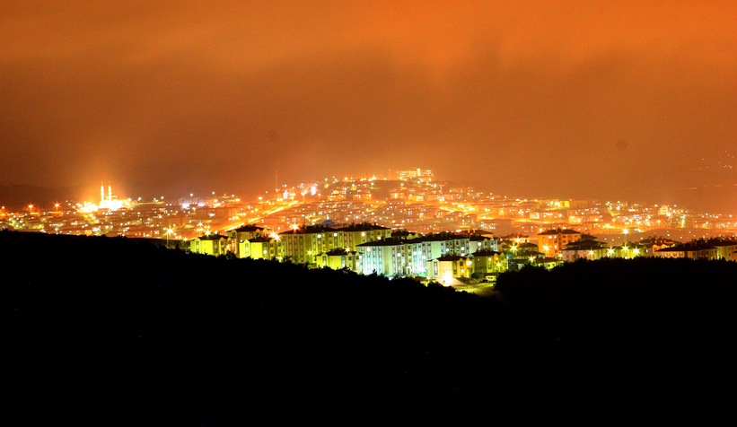 Viyana, Göteborg şehirlerine Sakarya da eklendi