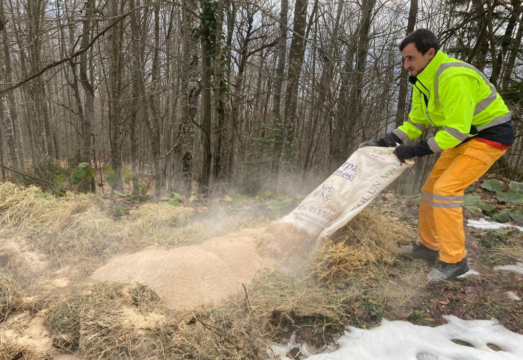 Yaban hayvanları için saman ve yem bıraktılar