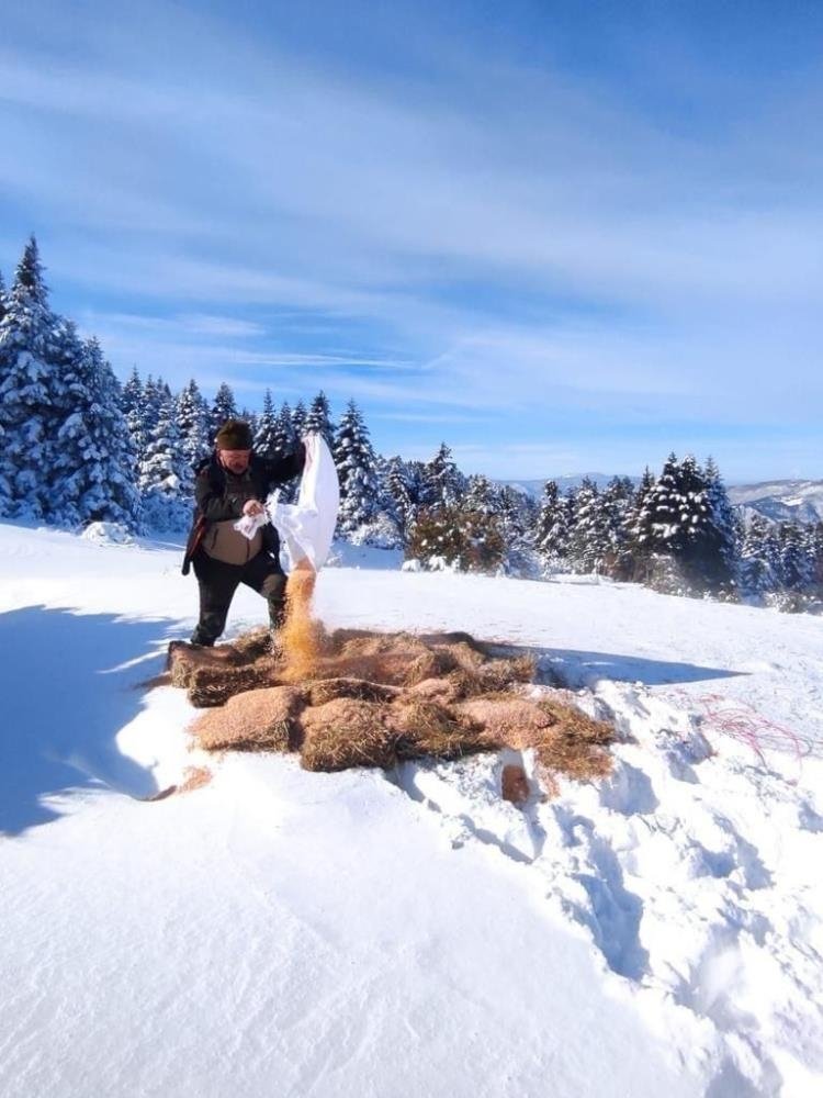 Yaban hayvanları için yiyecek bırakıldı