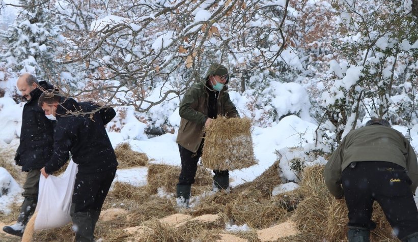 Yaban hayvanlarına yiyecek bıraktılar