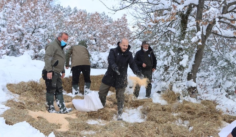Yaban hayvanlarına yiyecek bıraktılar