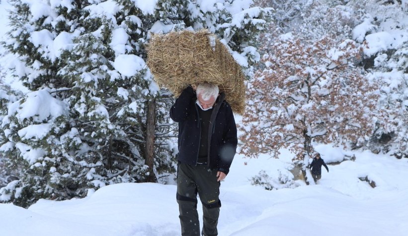 Yaban hayvanlarına yiyecek bıraktılar