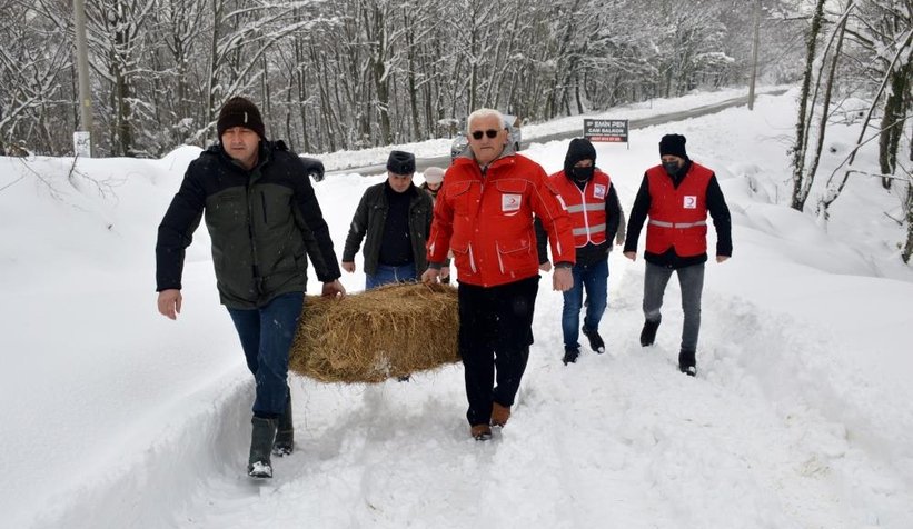 Yaban ve sokak hayvanları için yiyecek bıraktılar