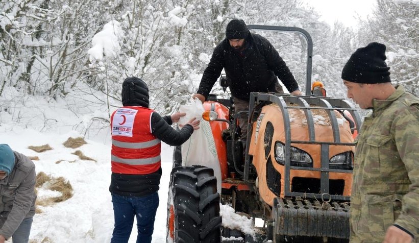 Yaban ve sokak hayvanları için yiyecek bıraktılar