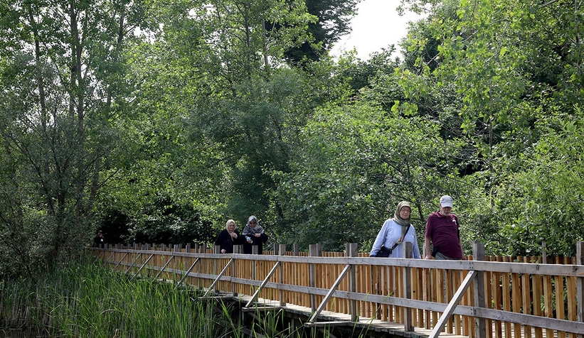YADEM yaşlılarının bu haftaki durağı Acarlar Longozu 