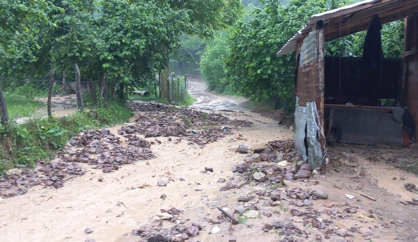 yagis-ile-gelen-tas-ve-odun-parcalari-yolu-kapladicujftc9dov