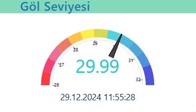 yagislar-sapanca-golu-ne-yaradicvb2bnqzl1