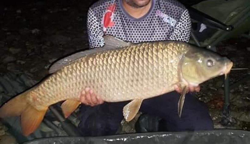 Yakaladığı balıkları fotoğraflayıp suya bırakıyor