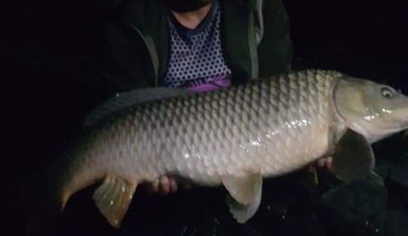 Yakaladığı balıkları fotoğraflayıp suya bırakıyor