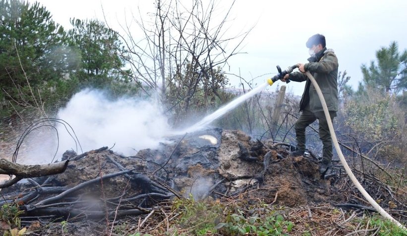 Yaktığı anız fındıklığı kül edecekti