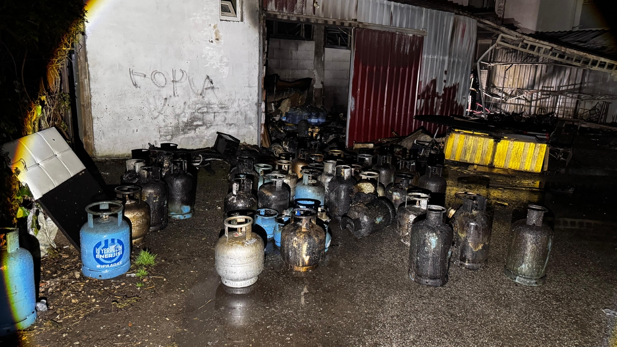 Yangın dehşeti; Ev ve araçlar kül oldu