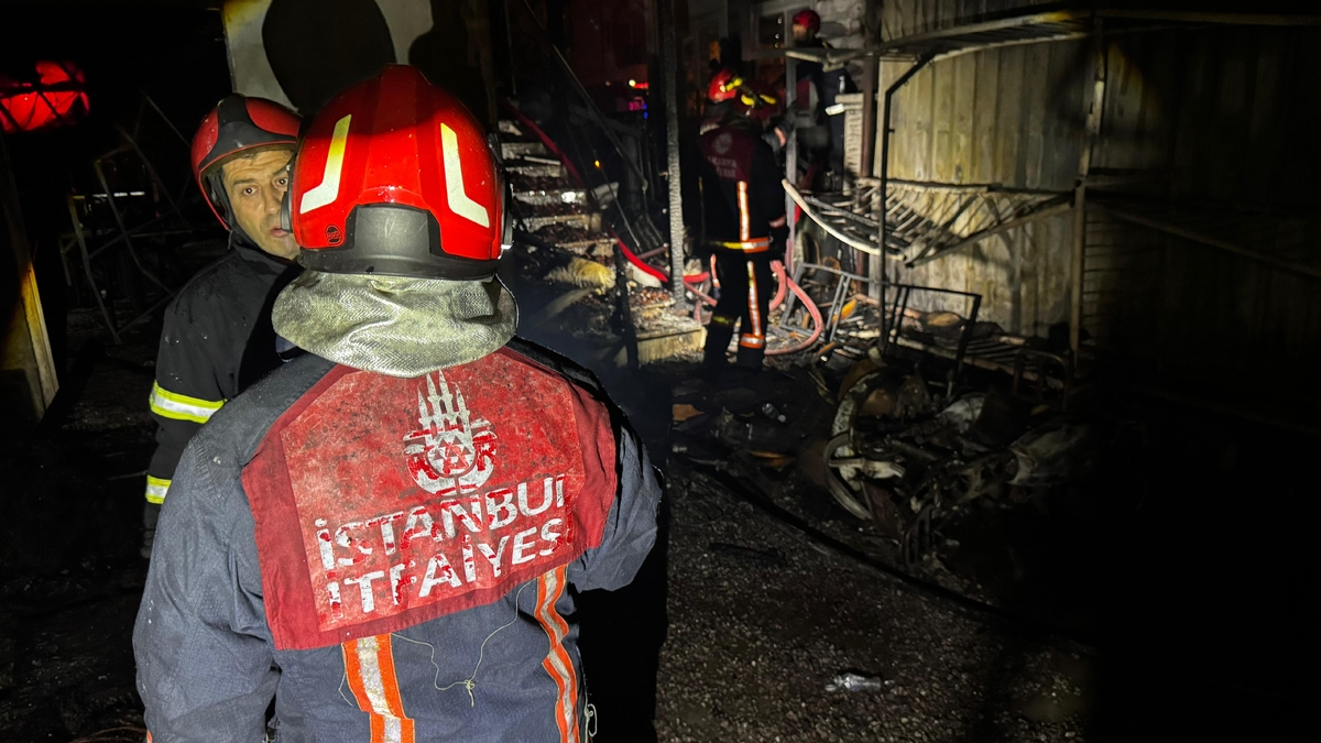 Yangın dehşeti; Ev ve araçlar kül oldu