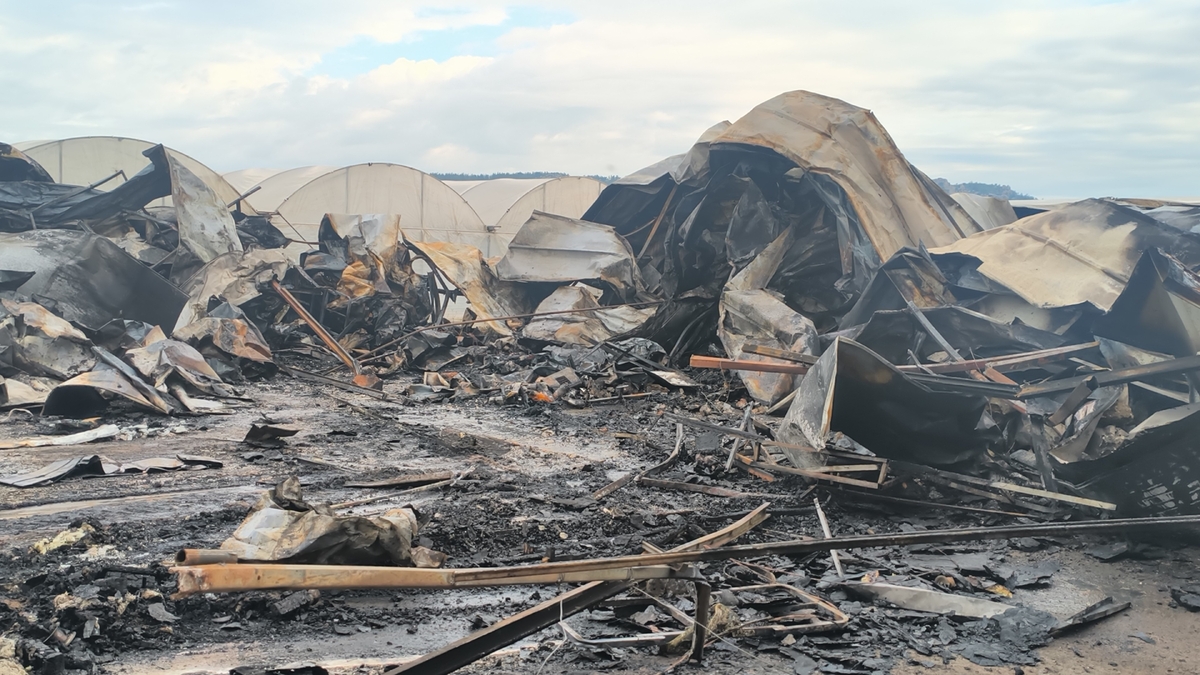 Yangın faciası hamile kadın ve 5 çocuğu öldü