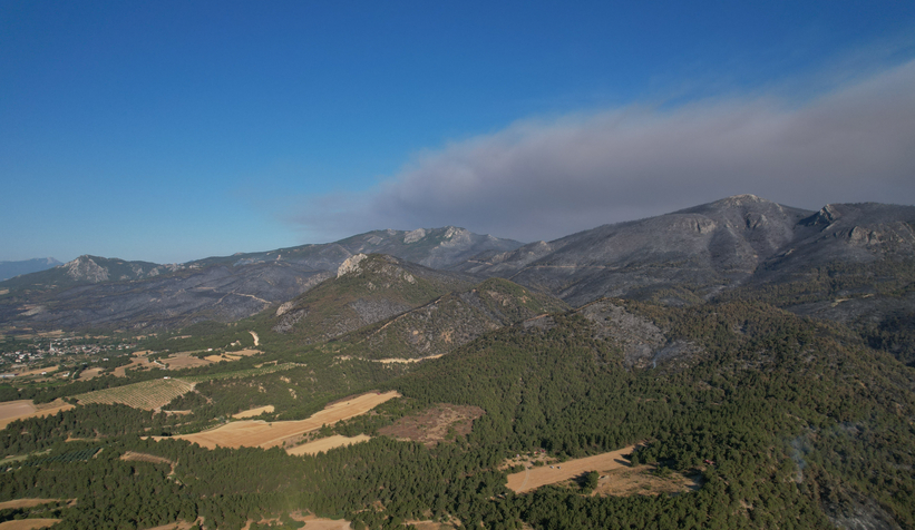 Yangın sonrası yeşil gitti, siyah geldi