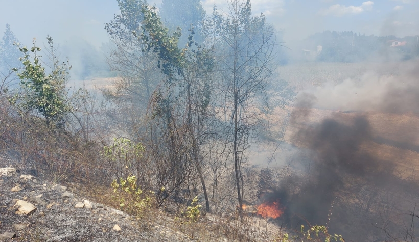 yangin-tarlaya-sicradi-mahsuller-kurtarilditzjpbghxwj