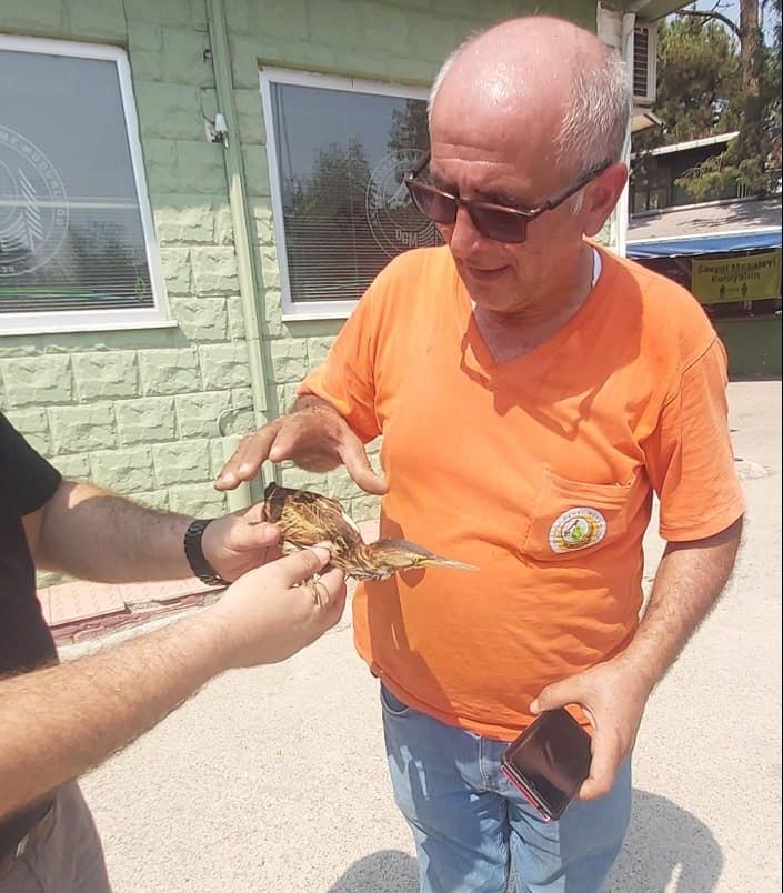 Yaralı halde buldu, orman işletmeye teslim etti