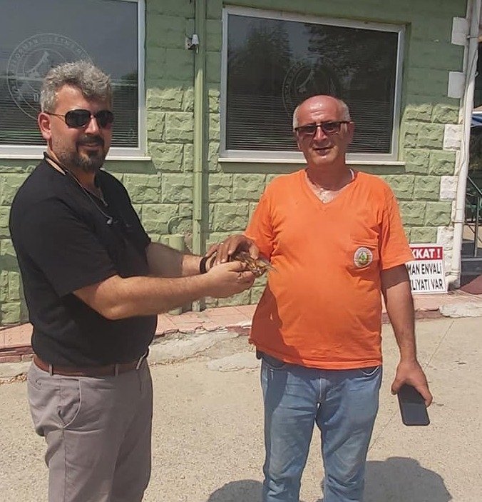 Yaralı halde buldu, orman işletmeye teslim etti