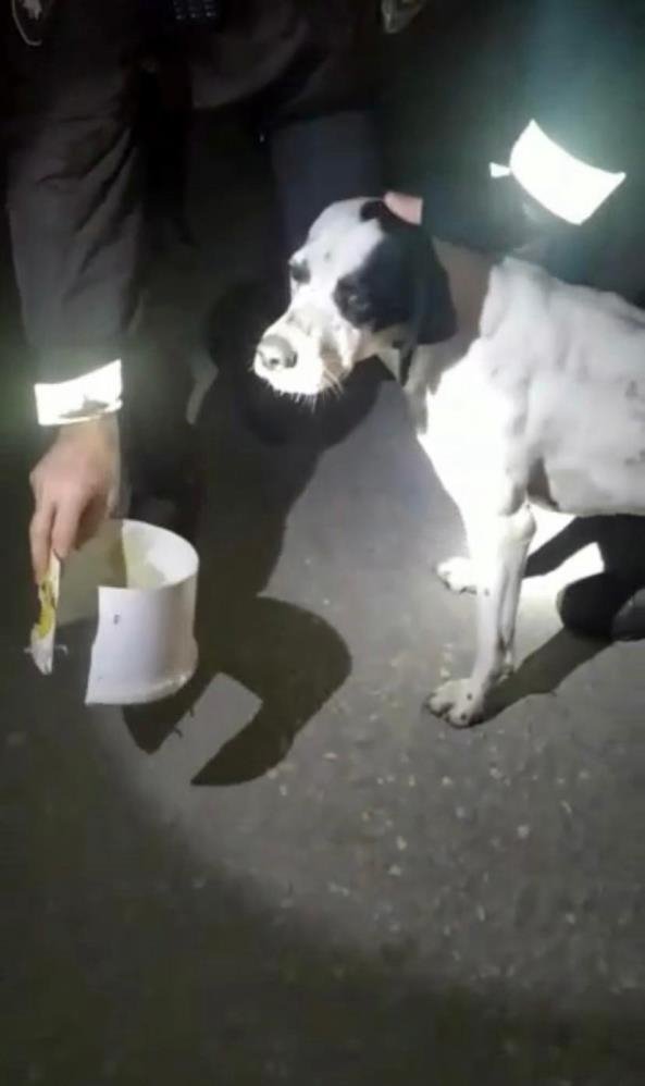 Yardımına bekçiler koştu