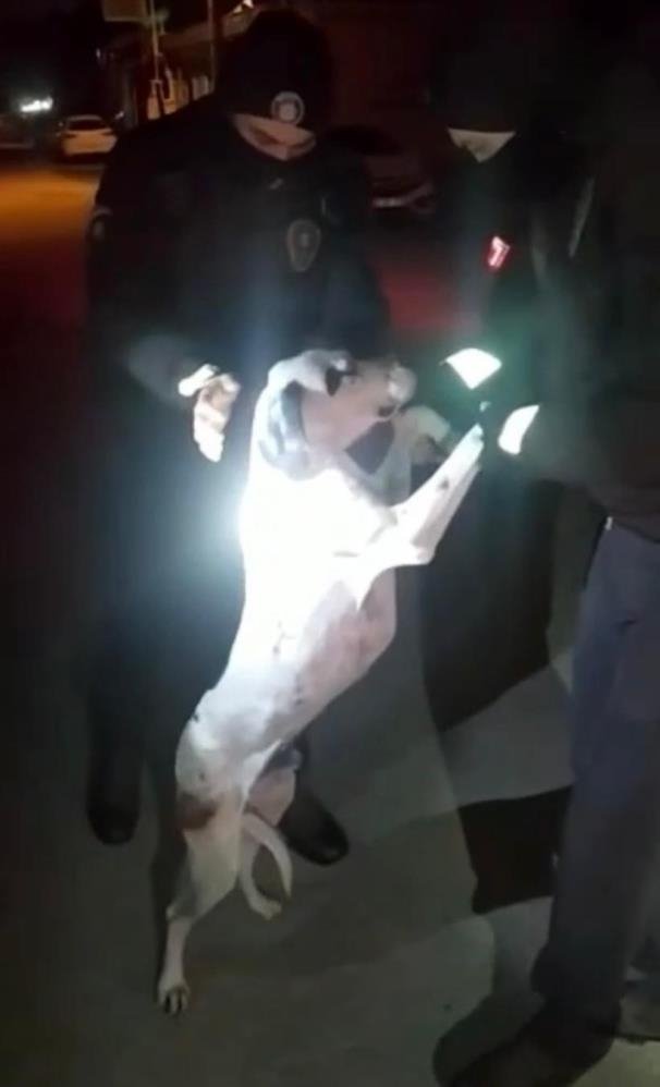 Yardımına bekçiler koştu