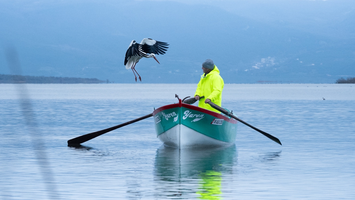 Yaren leylek bu yıl erken geldi