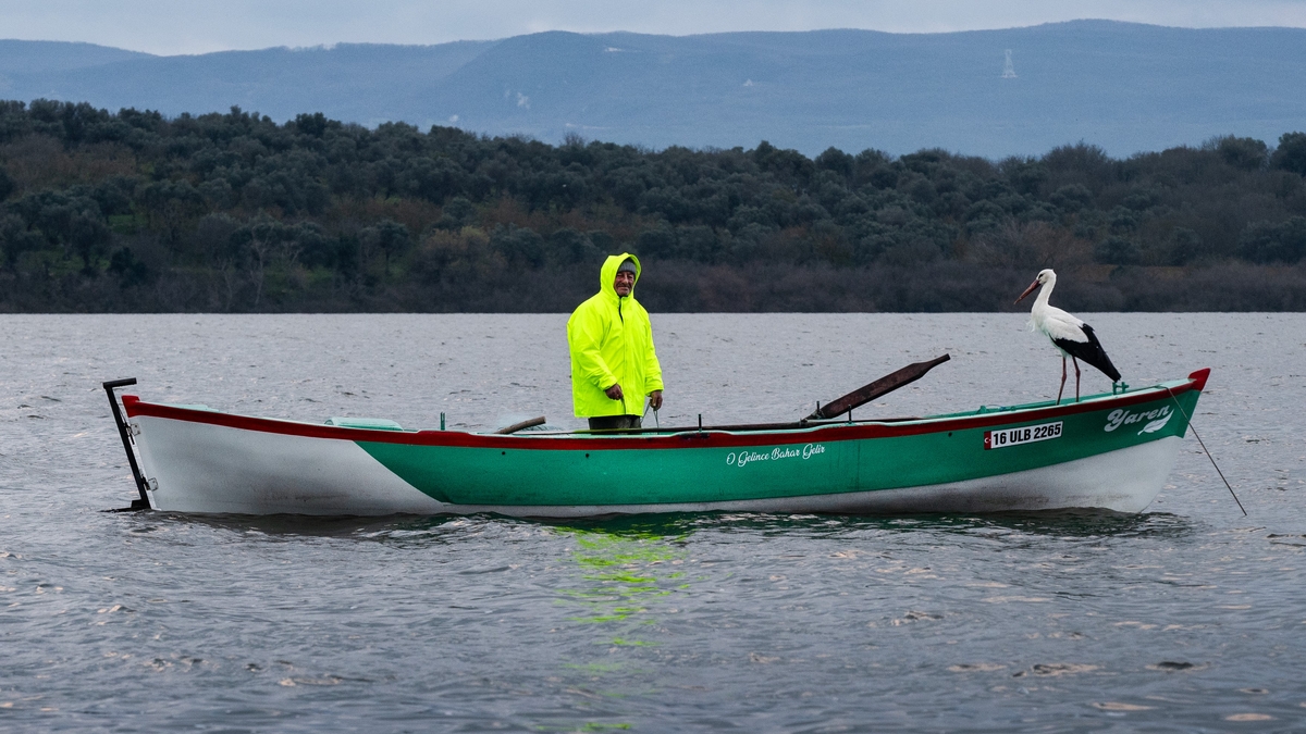 Yaren leylek bu yıl erken geldi