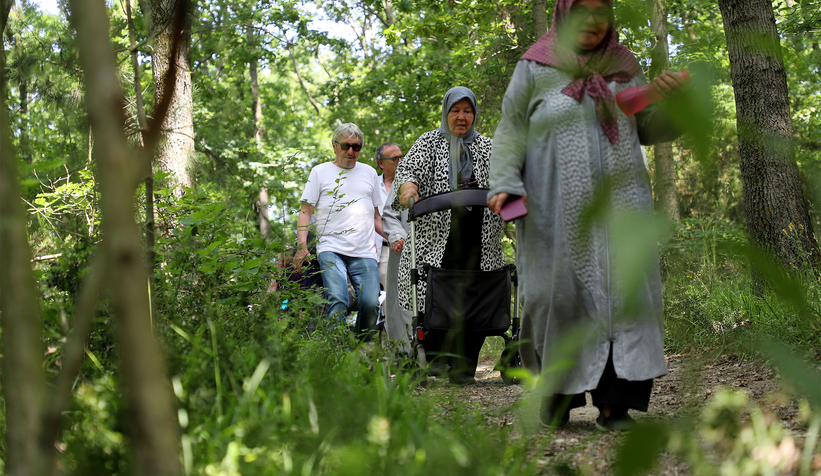 Yaşlılar yeşilin tonları arasında gezintiye çıktı