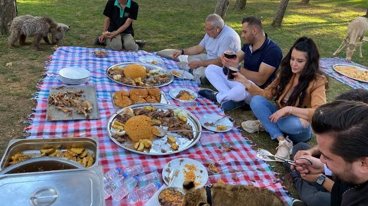 Yavru aslan ve ayıya şark sofrası kuruldu
