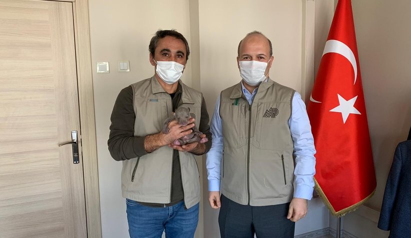 Yavru ayıyı donmak üzereyken buldular