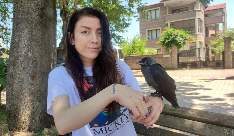 Yavru kargaya evladı gibi bakıyor