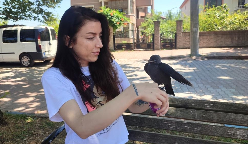Yavru kargaya evladı gibi bakıyor
