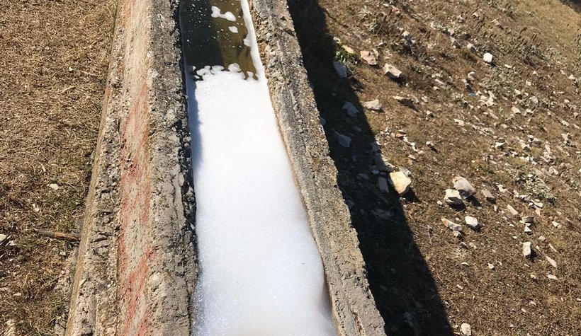 Yaylada tepki çeken görüntüler