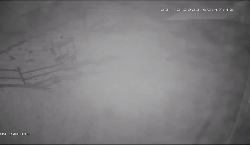 yaylalar-beyaza-burundumtrmmwppeh
