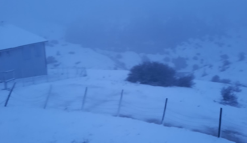 Yaylalar kar yağışı ile beyaza büründü