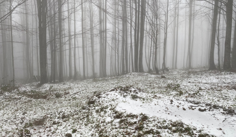 Yaylalara mevsimin ilk karı yağdı