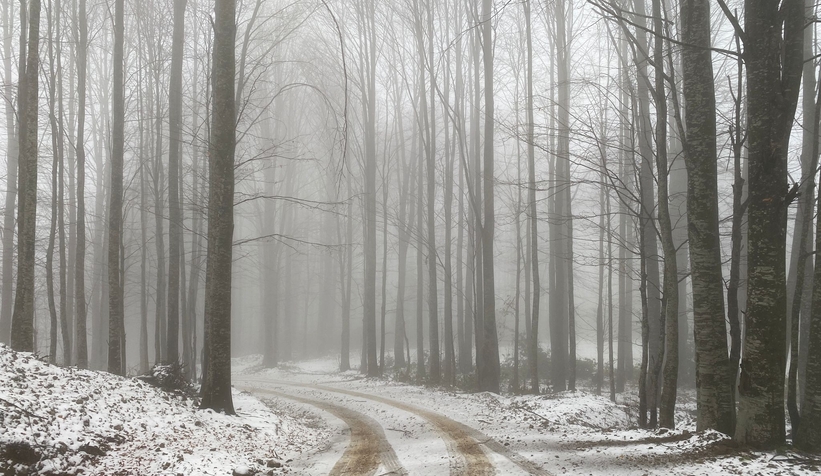 Yaylalara mevsimin ilk karı yağdı