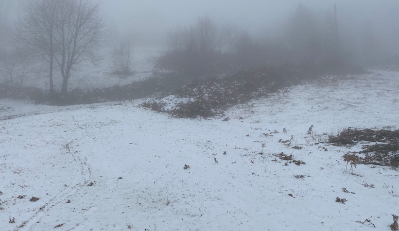Yaylalara mevsimin ilk karı yağdı