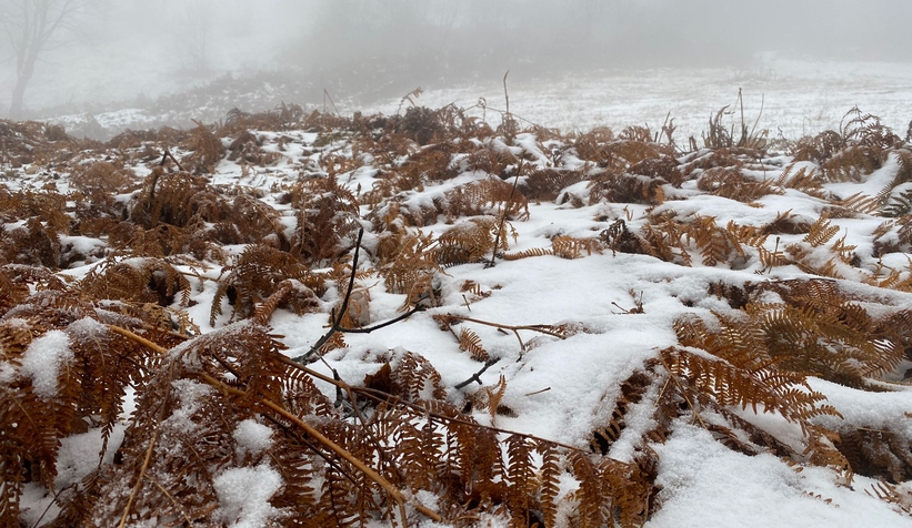 Yaylalara mevsimin ilk karı yağdı