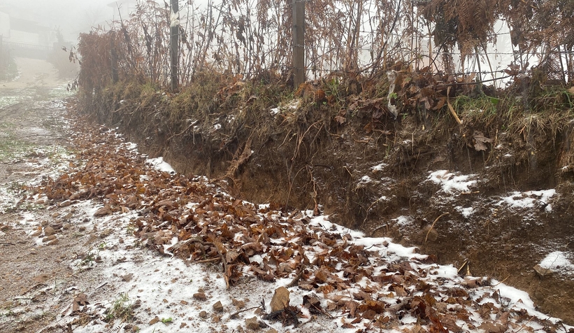 Yaylalara mevsimin ilk karı yağdı