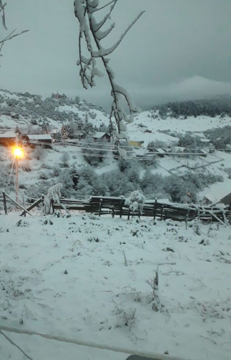 Yaylalarda kar yağışı etkili oldu