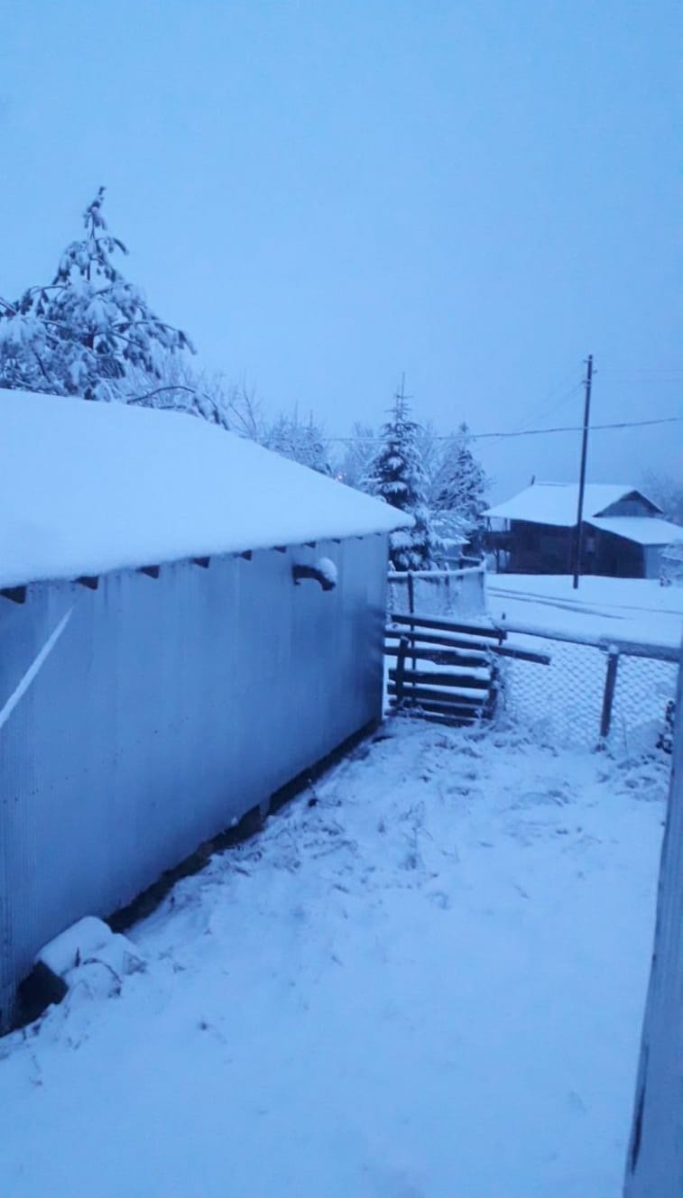 Yaylalarda kar yağışı etkili oldu