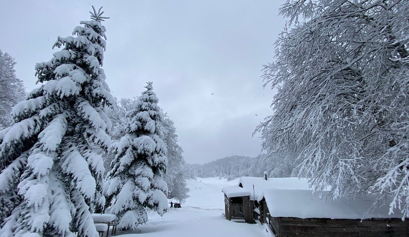 Yaylalardan kar manzaraları