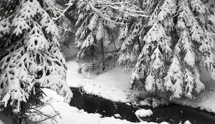 Yaylaları kar yürüyüşü ile keşfettiler