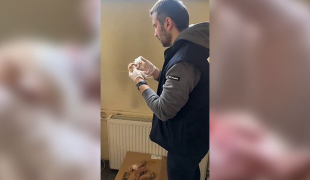 yeni-dogmus-yavru-kediye-polis-sefkatiskfwnuvrsf