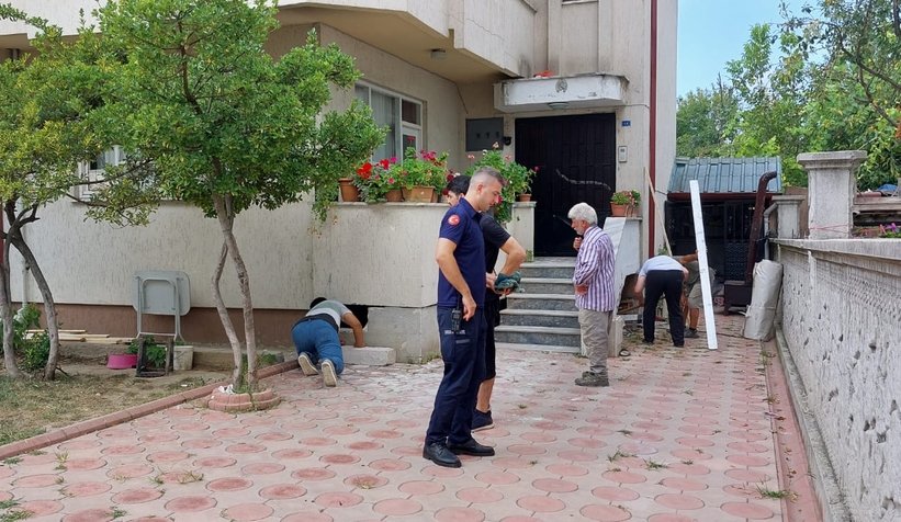 Yılan paniği, didik didik aradılar