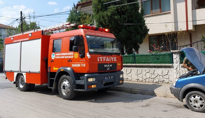 Yılan paniği, didik didik aradılar