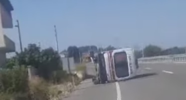 yola-cikan-kopek-ambulansin-devrilmesine-neden-oldub0gyyzlnef